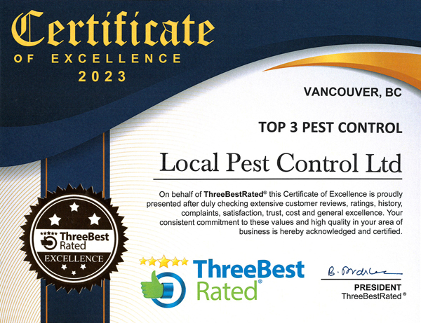 Three Best Rated Pest Control Companies